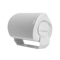 Polk Audio Atrium 4 variant 3