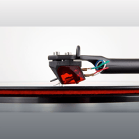 Rega Ania Pro variant 4