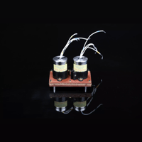 SW1x Audio Transformers variant 19