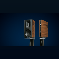 Borresen Acoustics Børresen 01 variant 1