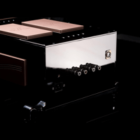 Merrill Audio Element 118 Power Amplifier Monoblocks variant 3