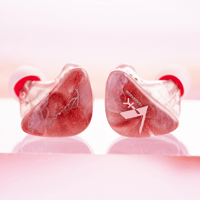 Kinera Kinera Freya 2.0 3BA + 1 DD Hybrid In-Ear Earphone variant 8