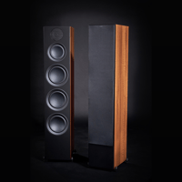 Scansonic L20 – Full Range Floor Stander variant 4