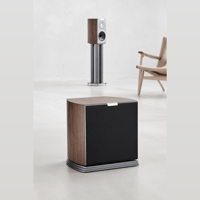 Audiovector R Sub variant 2