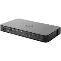 Silent Angel Forester FX variant 10