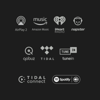 Andover Songbird HR Hi-Res Internet Music Streamer variant 4