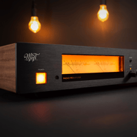 MoFi Electronics MasterPhono Phonostage variant 13