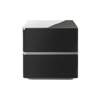 MartinLogan Dynamo 10 variant 19