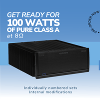 Parasound JCA100 Tribute Monoblock (Matched Pair) variant 8