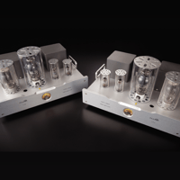 Allnic/ZL Technologies A-311M variant 3