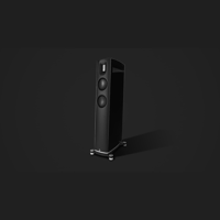 Borresen Acoustics Børresen 02 variant 3