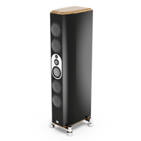 Marten Mingus Orchestra variant 7