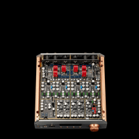 Burson Audio Soloist Voyager variant 5