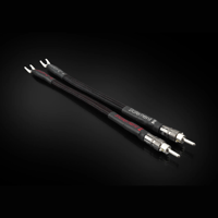 Tellurium Q Statement II Links variant 1