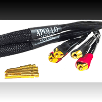 Tara Labs Apollo Extreme variant 1