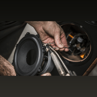 Sonus Faber Il Cremonese variant 11