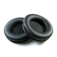 Hifiman HE-500 variant 3