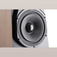 Vandersteen Treo CT variant 5