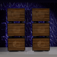 REL Acoustics Carbon Special Black Label variant 10