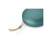 B&O-Bang & Olufsen  Beosound A1 3rd Gen variant 5