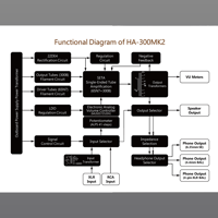 Cayin HA-300MK2 variant 10