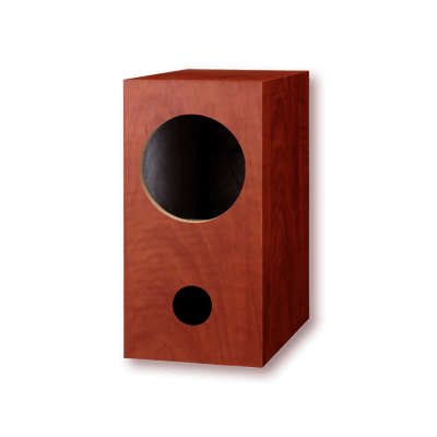 Fostex P1000-E