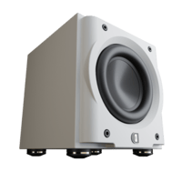 Perlisten R8s variant 8