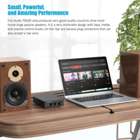 Fosi Audio Fosi Audio TB10D Stereo Audio Amplifier variant 3