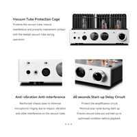 Cayin HA-2A variant 13