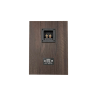 Fostex GS103A-VB variant 3