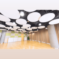 Primacoustic Archadia Clouds variant 4