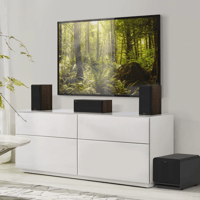 Klipsch RP-1000SW variant 14