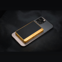 Oriolus NiPO A100 variant 8