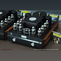 ThivanLabs X Grand Version Amplifier (3D21 tube) variant 10