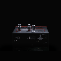 SW1x DAC II Balanced Special variant 6