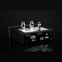 SW1x AMP IV “Aura” Integrated Amplifier variant 15