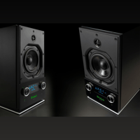 McIntosh Labs RS150 Wireless Loudspeaker variant 5
