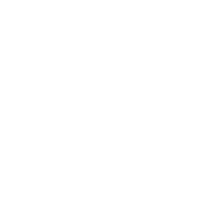 Sonus Faber Arena 2 variant 7