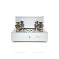 Black Ice Audio Fusion F165M Reference Mono Block Tube Power Amplifier(Pair) - 175 WPC* variant 10