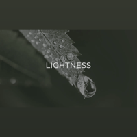 Avantgarde Acoustic COLIBRI variant 7