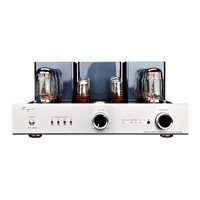 Cayin CS-88A variant 1