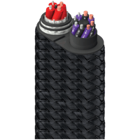 AudioQuest Dragon BASS variant 3