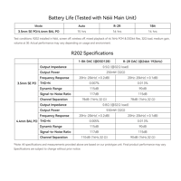 Cayin N6iii R202 variant 23
