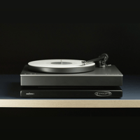 IsoAcoustics zaZen Series variant 7