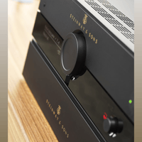 Steinway Lyngdorf P300 2.1 variant 8
