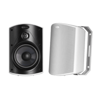 Polk Audio Atrium 4 variant 2