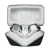 Hifiman SVANAR Wireless variant 2