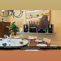 McIntosh Labs MT5 Precision Turntable variant 14