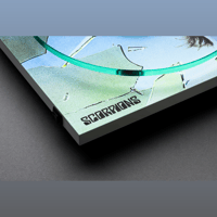 Pro-ject Audio Systems - USA Scorpions Turntable variant 2