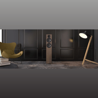 Acoustic Energy AE309 variant 4